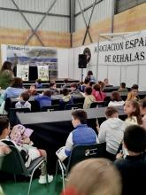 CEIP Cervantes 2025 Feria de la Caza